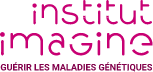 Logo Institut Imagine Footer