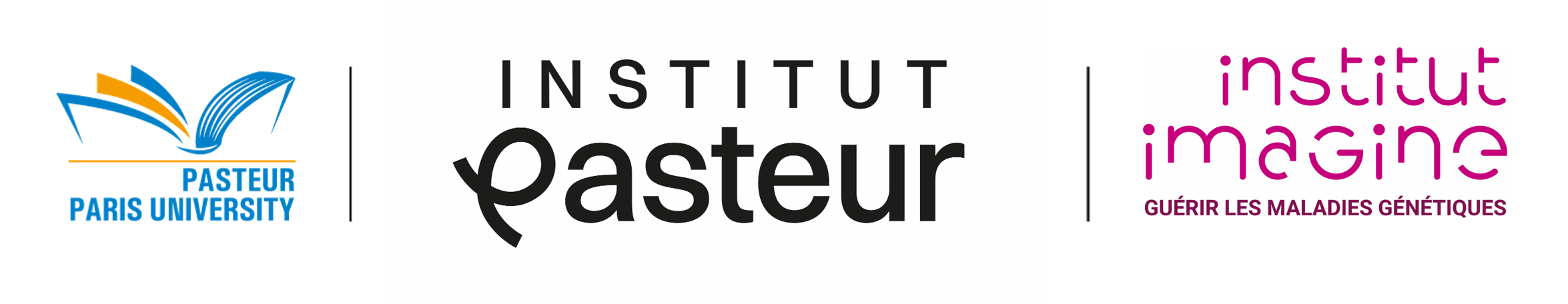 Logo_PPU-IMAGINE_2025