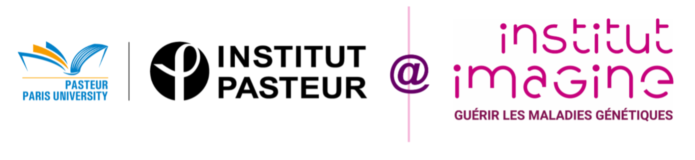 Institut Pasteur / Institut Imagine