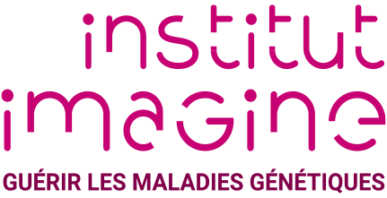 Institut Imagine