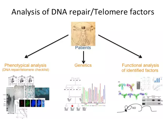 Equipe Revy-De Villartay