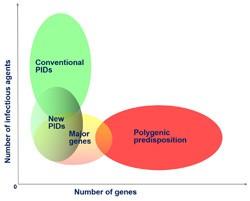 Genetic predisposition to infectious diseases
