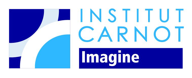 Institut Carnot Imagine