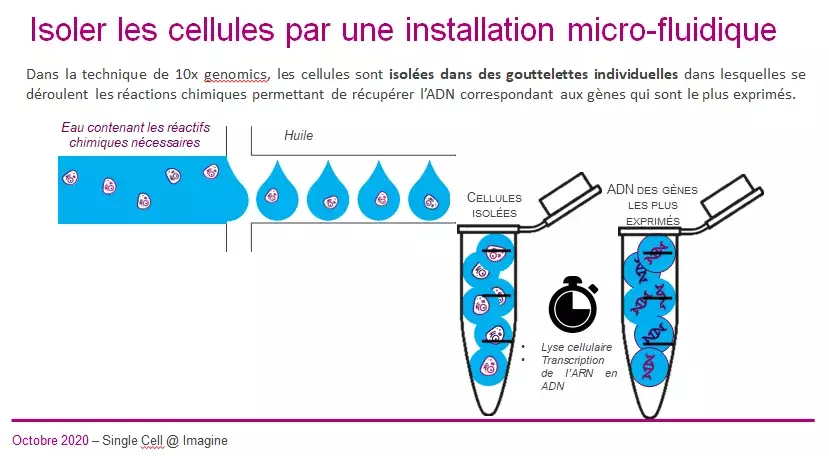 single-cell