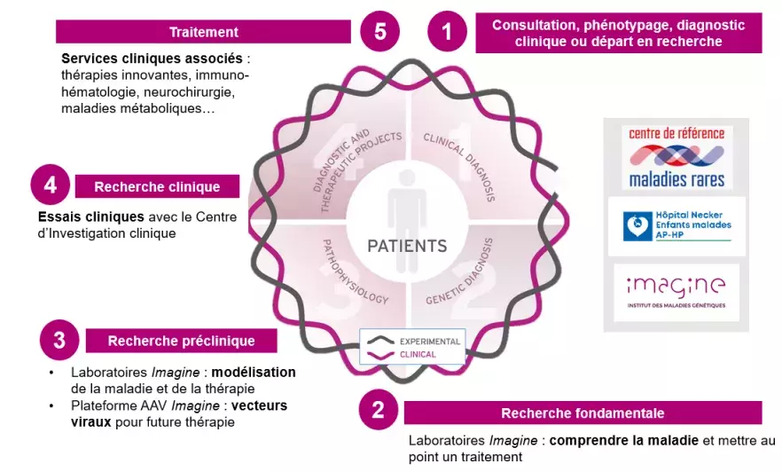 Boucle Patients